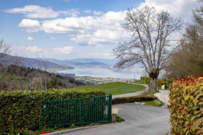 Entre lac et montagne, chaleureuse maison 3 pièces avec très belle vue lac d'Annecy. Terrasse, jardin, parking, cheminée, barbecue …. Saint-Jorioz